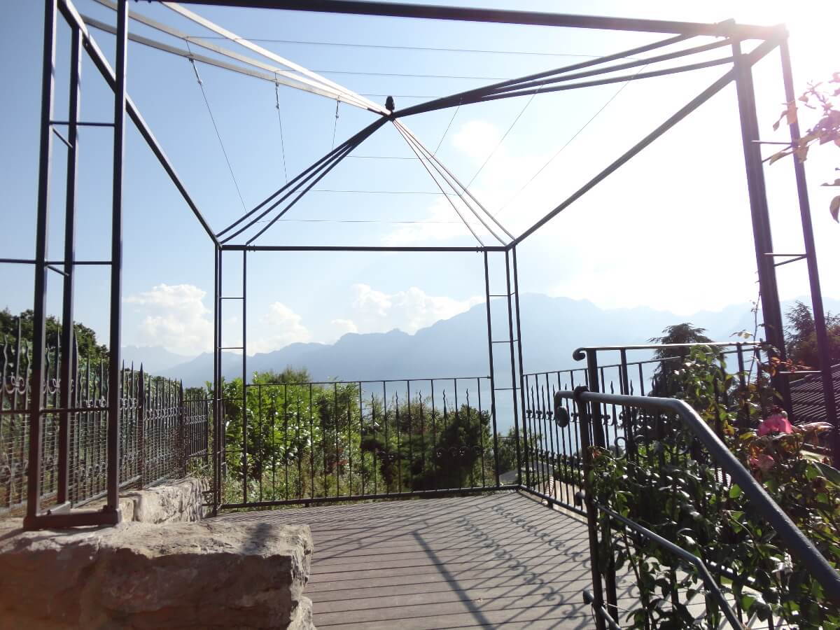 Image 6